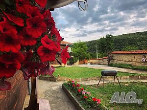 image_23