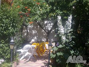 image_6