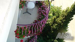 image_8