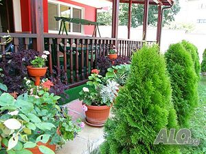 image_5