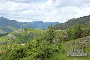 image_38
