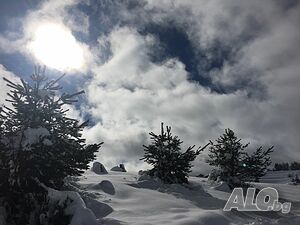 image_8