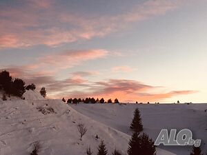 image_10