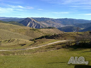 image_41