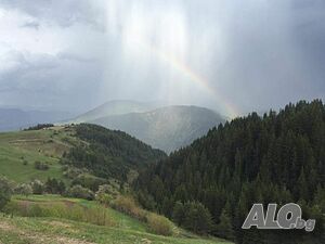 image_42