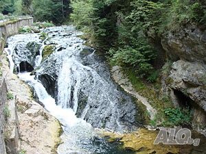 image_8