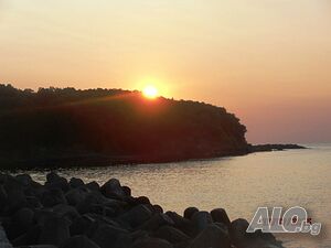 image_8
