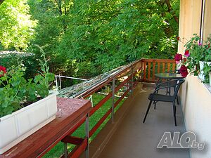 image_11