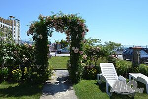 image_5
