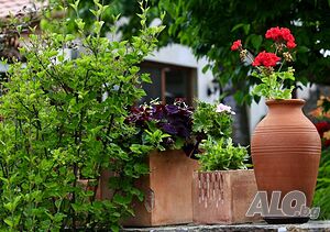 image_35