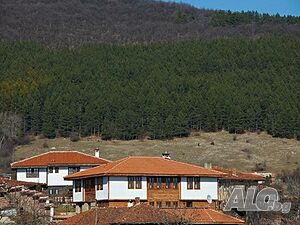 image_15