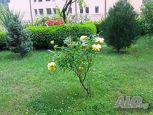 image_32