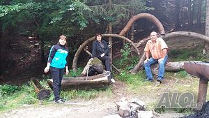 image_7