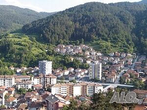 image_29