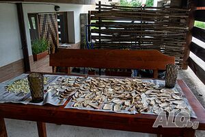 image_25