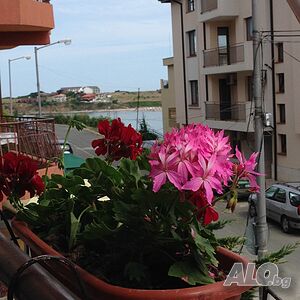 Стая под наем Къща за гости Микра в Царево