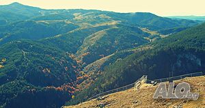 image_11