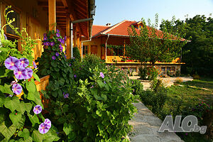 image_21