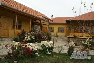 image_11