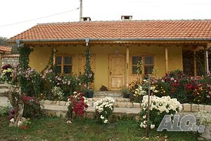 image_10