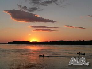 image_8