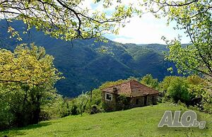 image_23