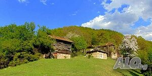 image_25