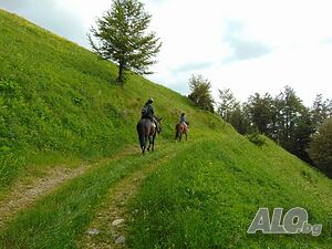 image_30