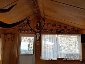 image_17