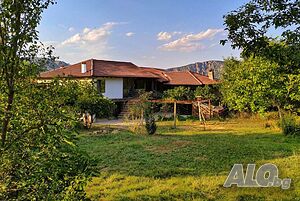 image_41