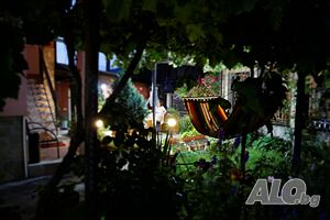 image_19