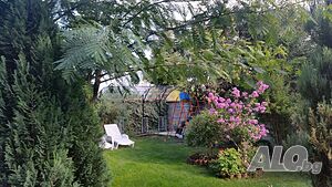 image_26