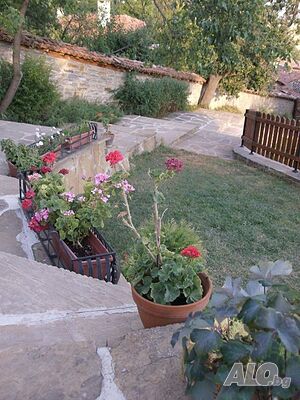 image_5