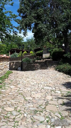 image_31