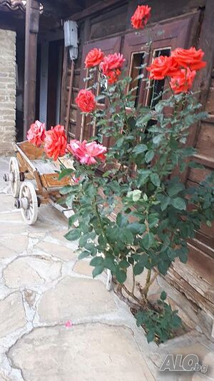 image_32