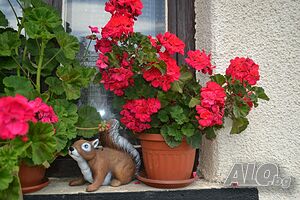image_23