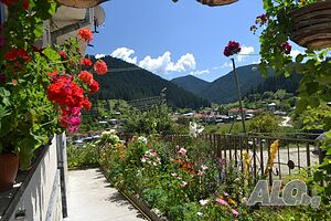 image_29