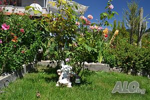 image_33