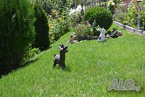 image_35