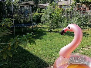 image_12