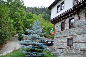 image_21