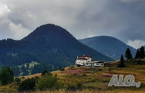 image_27