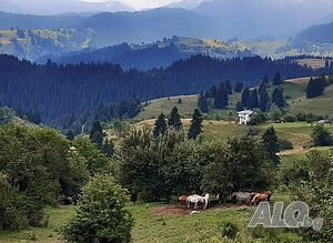 image_28