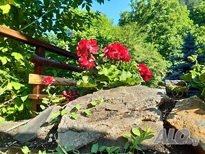 image_30