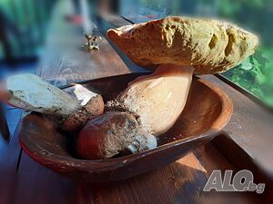 image_34