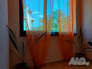 image_23