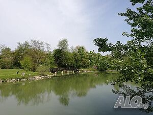 image_9