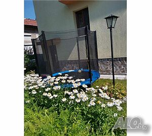 image_5