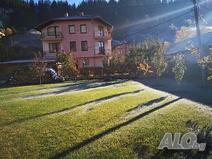 image_21