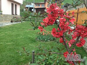 image_22